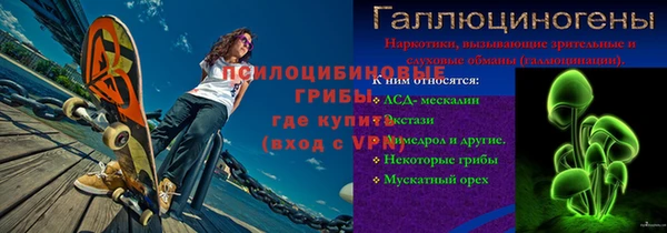 ПСИЛОЦИБИНОВЫЕ ГРИБЫ Гусиноозёрск